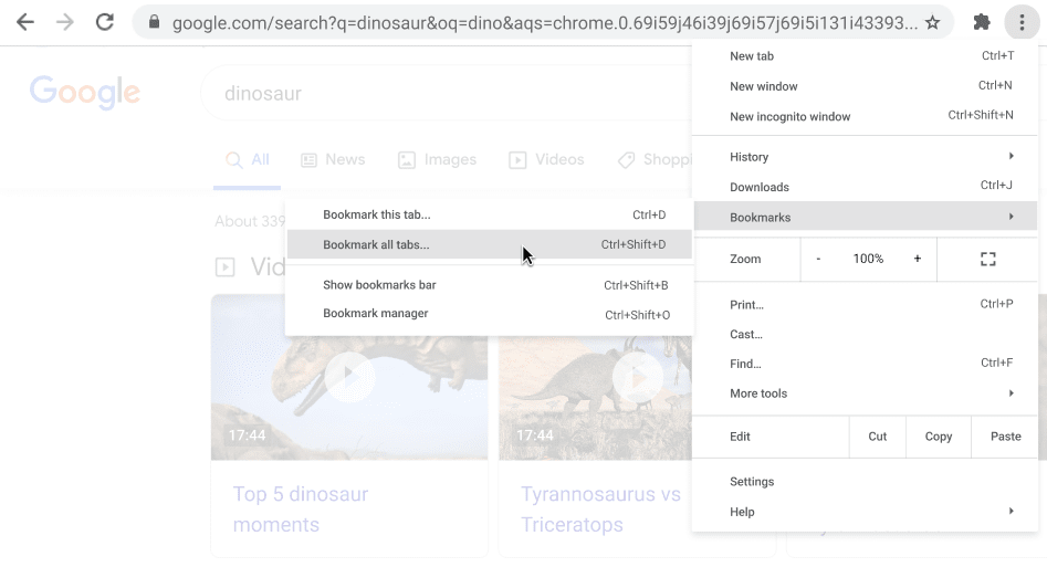 GOOGLE CHROME SELECT ALL visual data 8