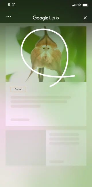 On a home furnishing site with an image of a unique flower, an iPhone user opens the page tools and selects \'Search screen\'